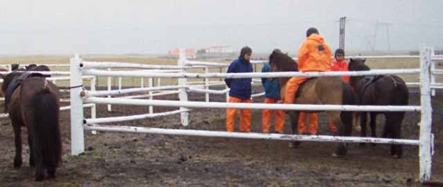 The corral