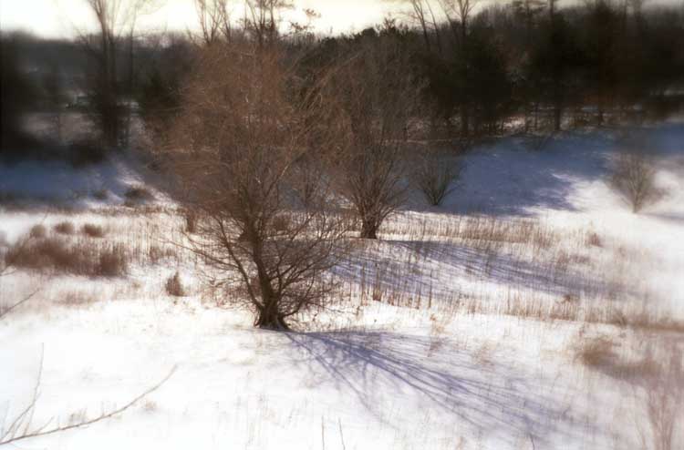 soft landscape