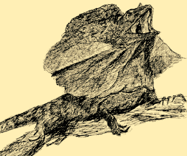 Lizard