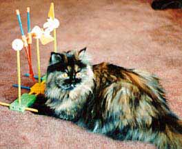 Tinker toys