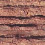 texture