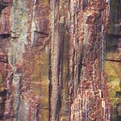 texture