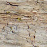 texture