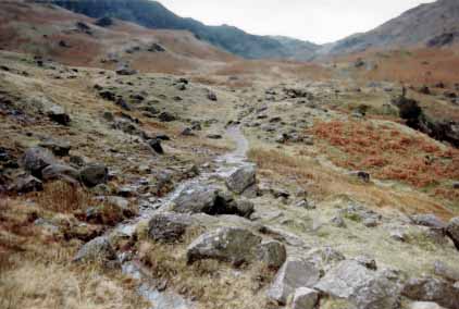 Meandering