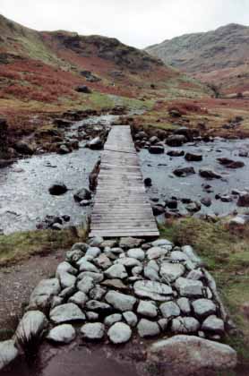 Steps