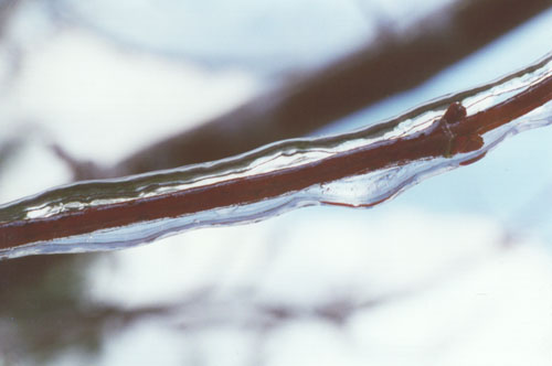 ice coat