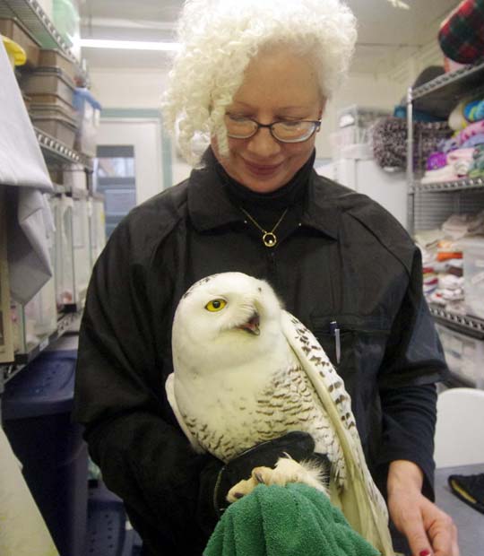 Robyn and the snowy