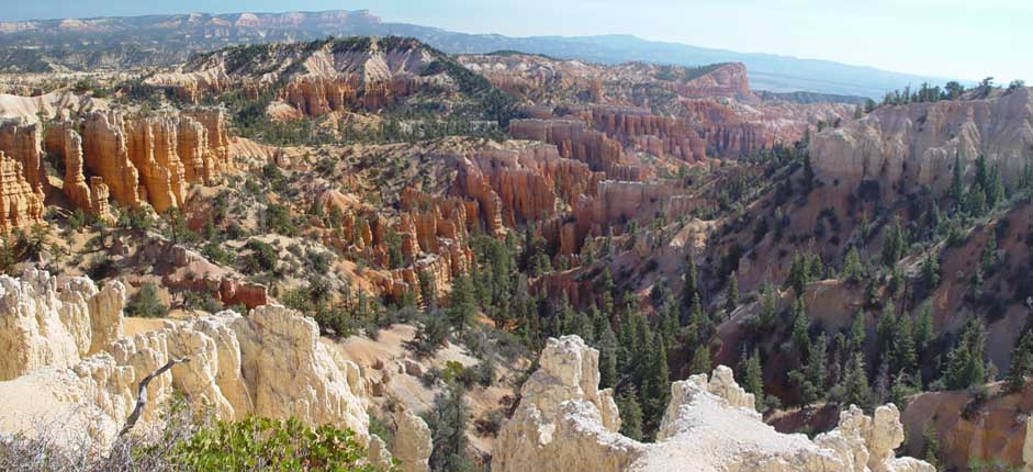 East across the canyon