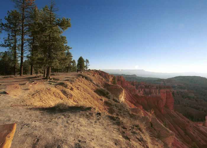 Morning at Bryce