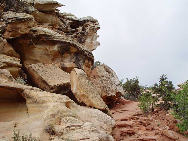 Hickman trail