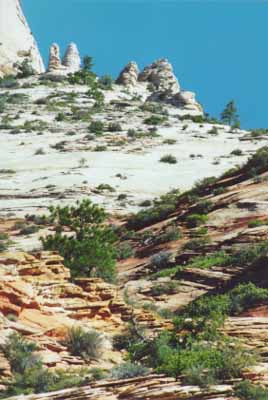Zion telephoto