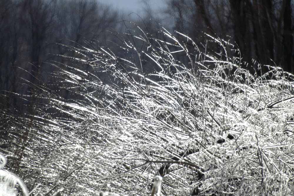 Brushed icicles