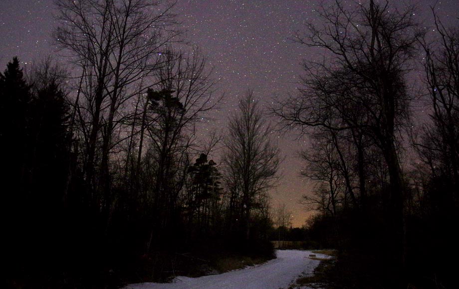 Twisting trail with stars