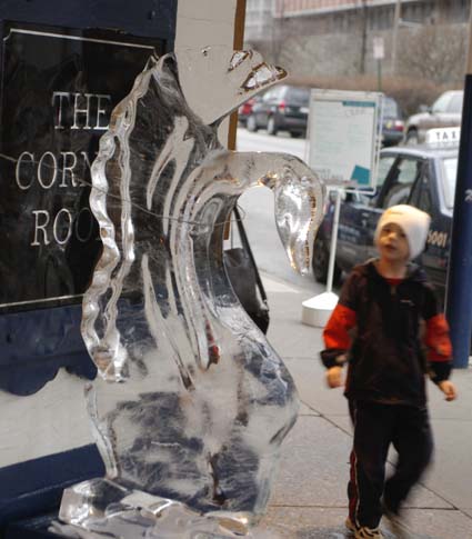 Ice swan and boy