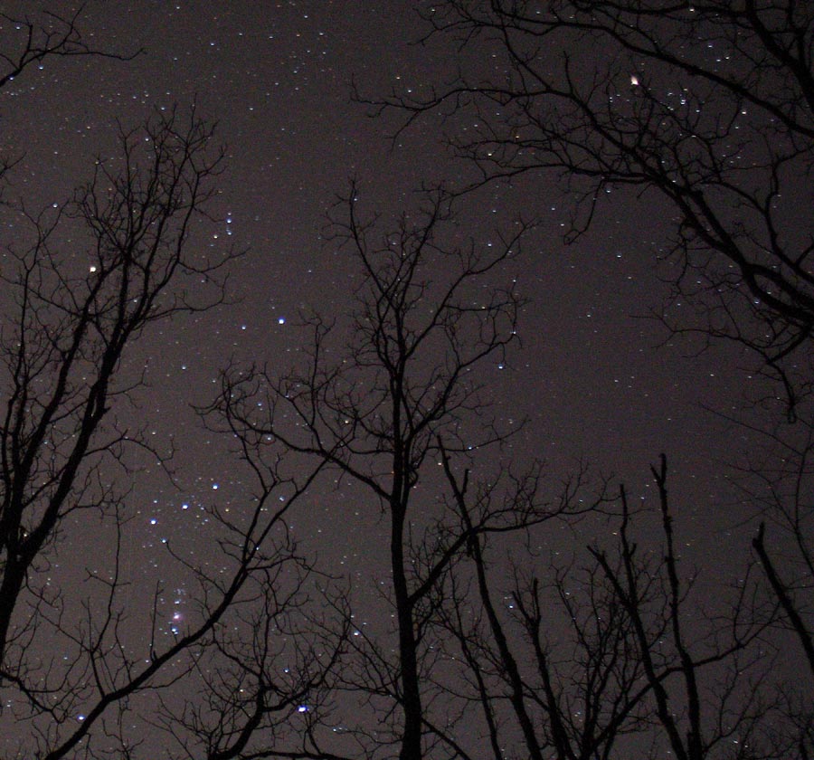 Orion chasing Taurus