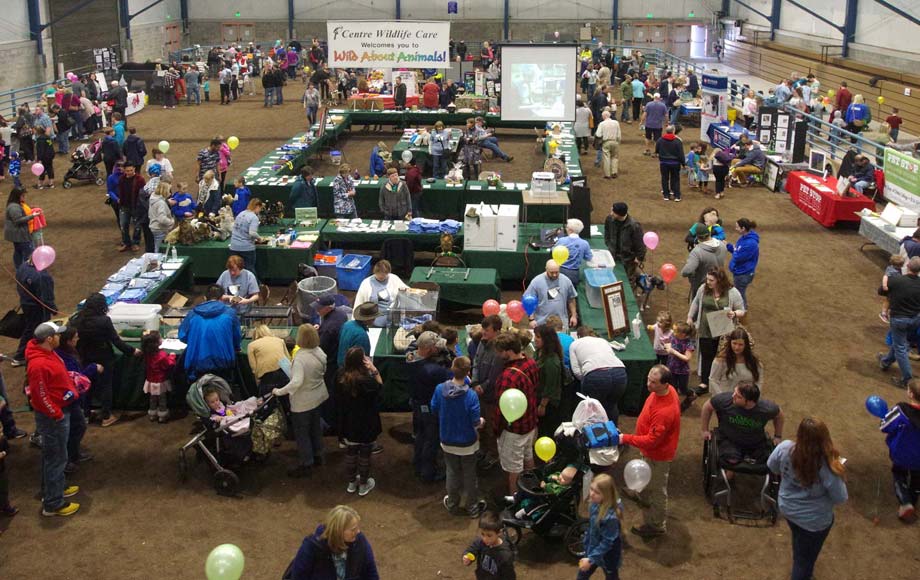 Wild About Animals 2018