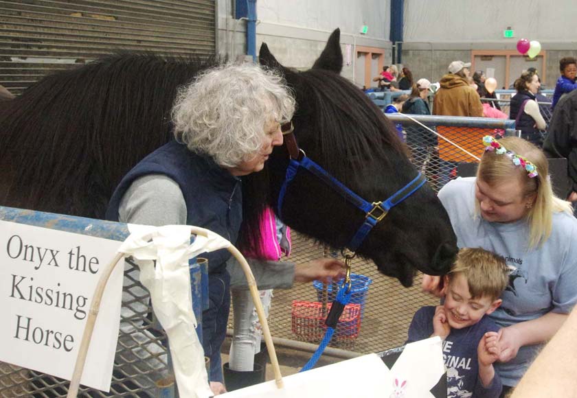 Onyx the Kissing Horse