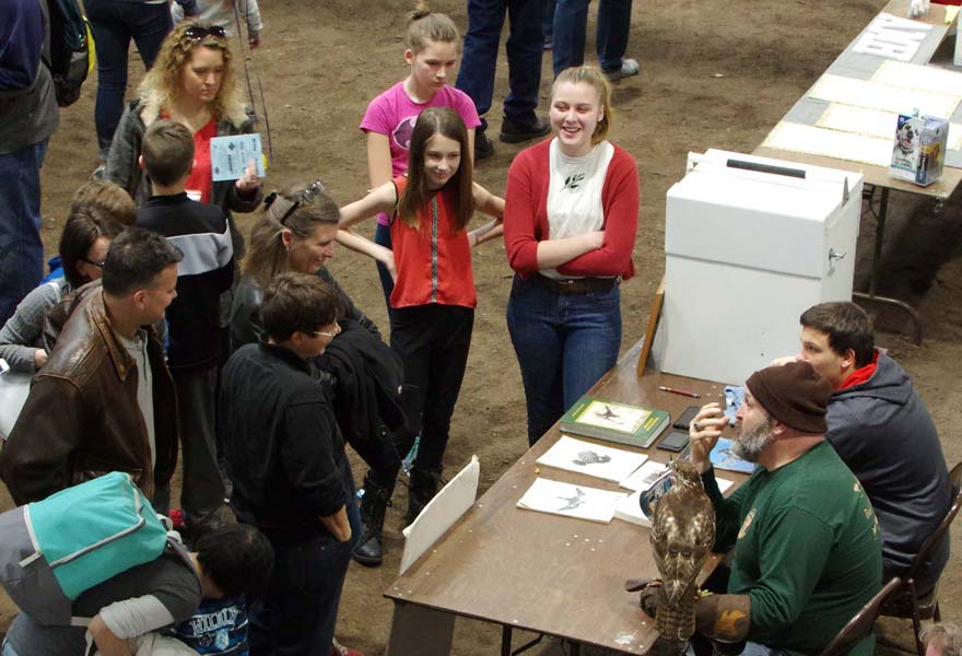 Fran Gray and falconry