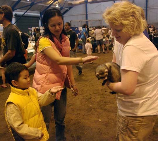 PFRA petting