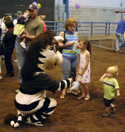 Zippy the 3WZ Zebra